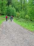 Thüringer Wald zw. Dietzhausen u. Oberschönau Mai 2020_14